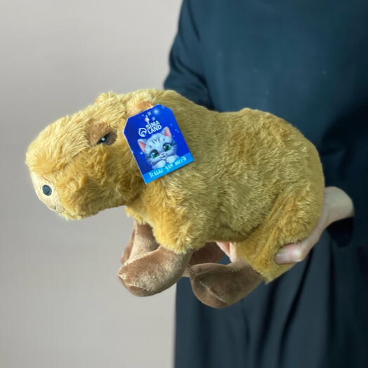 Плюшевая капибара