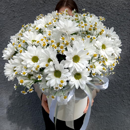 Большая композиция "Поле ромашек🤍🌼"