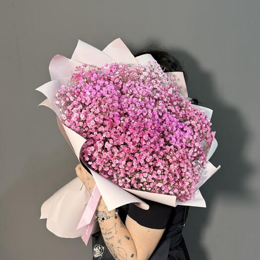 Pink gypsophila
