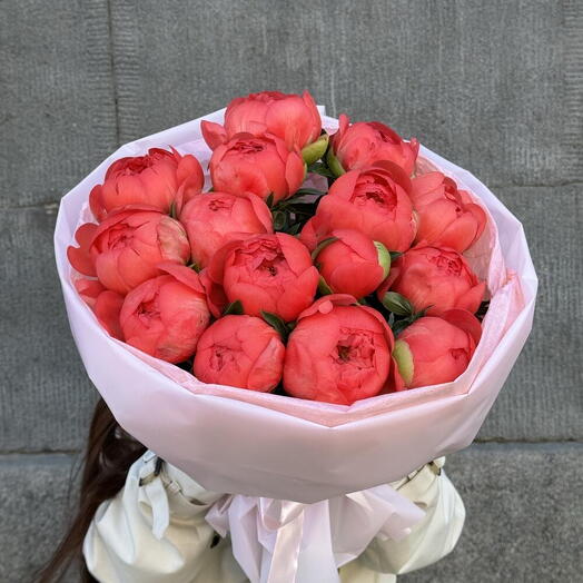 Пионы коралловые