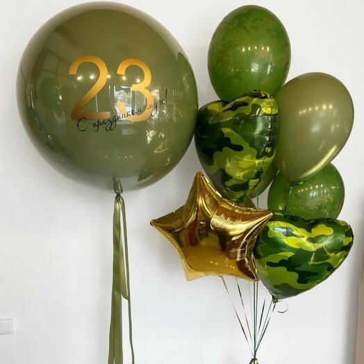 Шары на 23 февраля/шары на дембель