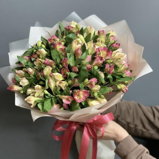 Моно букет из 25 альстромерий🌸🌿