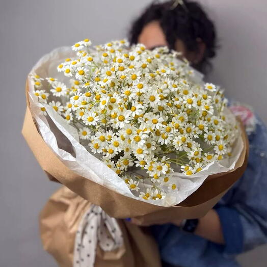 Букет ромашка матрикария