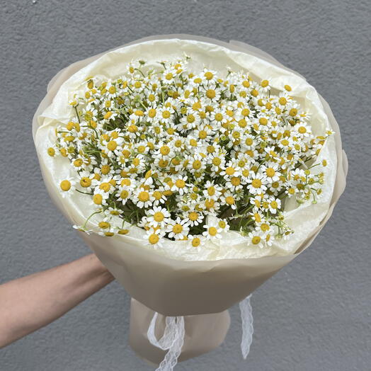 Букет из кустовых ромашек