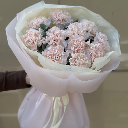 Милые диантусы 🌸