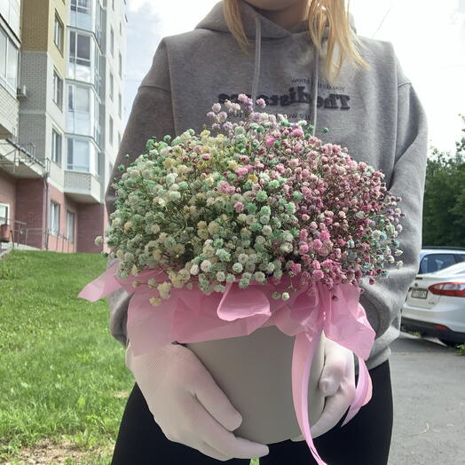 Гипсофила Облачко 💝☁️