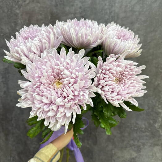 Хризантемы под ленту