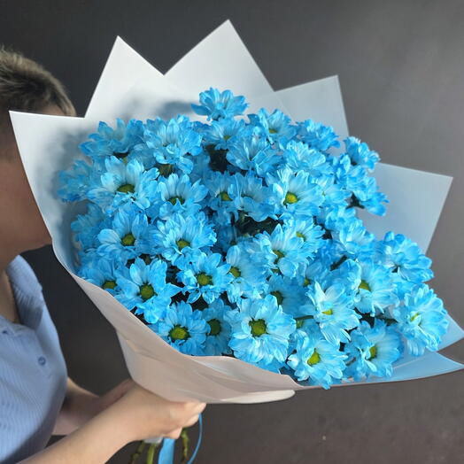 Bouquet of blue daisies