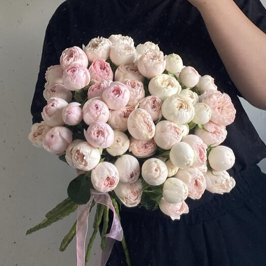 Роза кустовая пионовидная нежная Менсфилд Парк 🌸 13