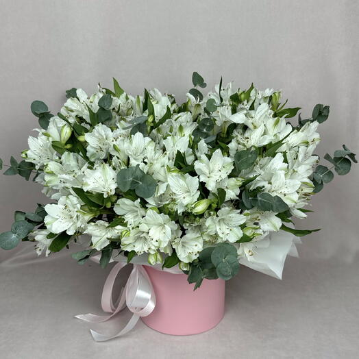 Белая альстромерия в шляпной коробке🤍🌸