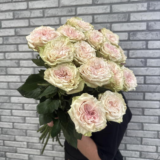 Розы пионовидные 15