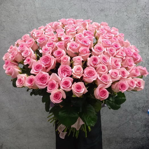 Pink roses 101