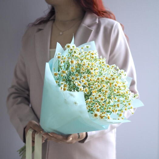 Нежные Полевые Ромашки