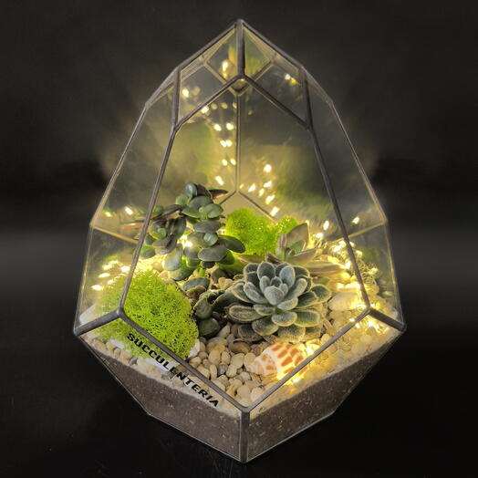 Florarium with succulents "Golden souvenir LUX"