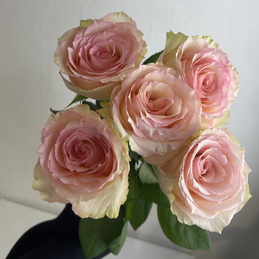 Розы нежные 🌸5