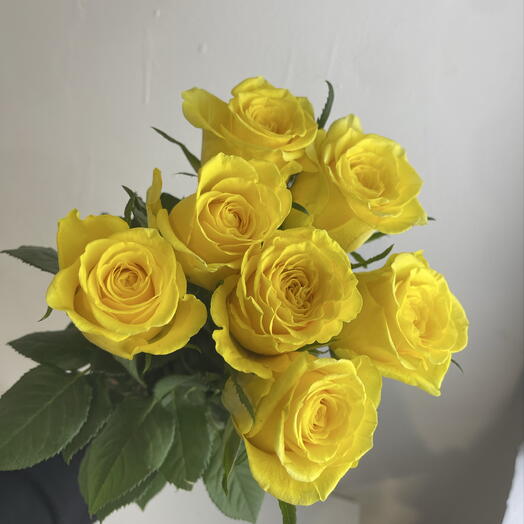 Розы жёлтые 💛 7
