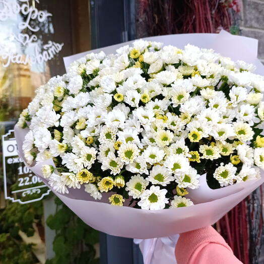 Большой букет из 25 кустовых хризантем ромашка