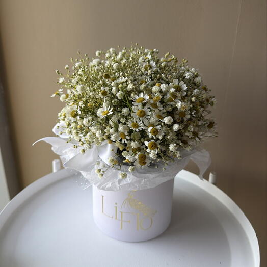 Коробочка с ромашкой и гипсофилой
