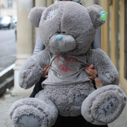 Teddy