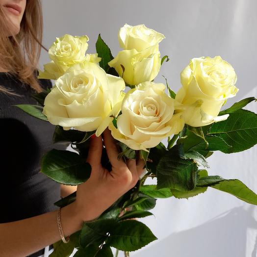 Роза белая импорт 5шт