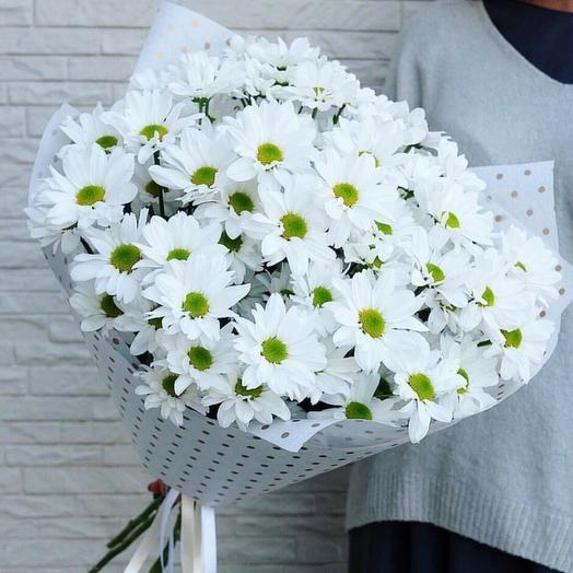 Chamomile miracle