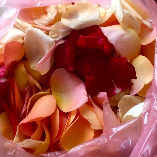 Pétalos de rosa