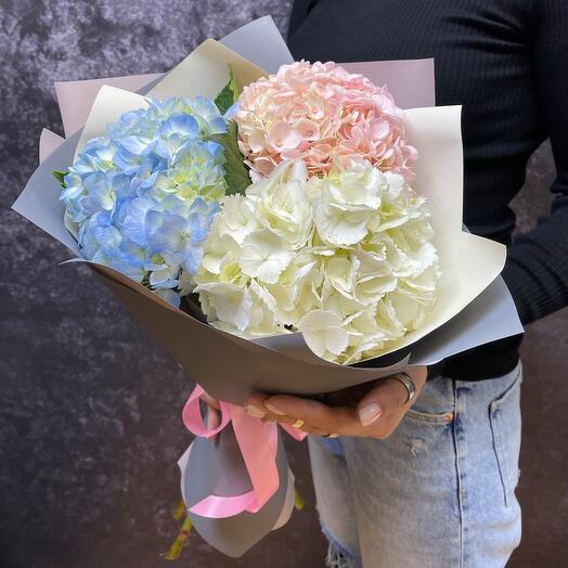 3 hydrangeas 🦋