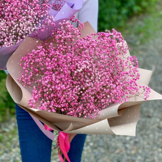 Bouquet of Pink Gypsophila