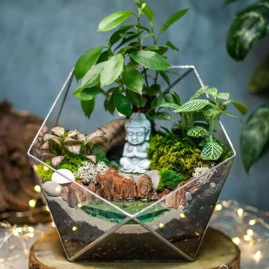 Icosahedron L with ficus Ginseng and lake - 214