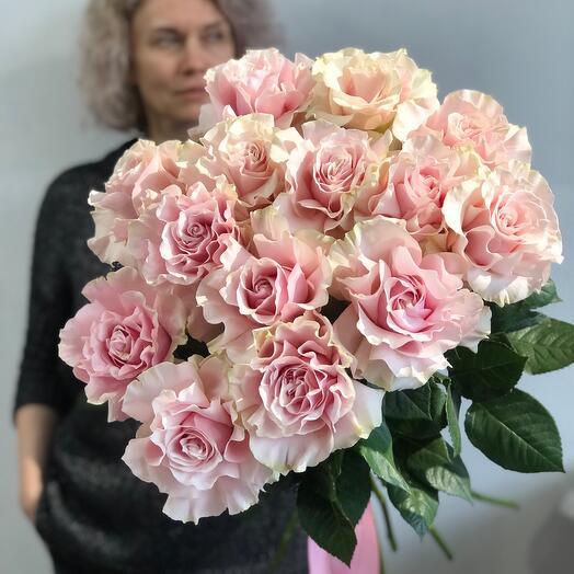 15 rosas francesas Premium
