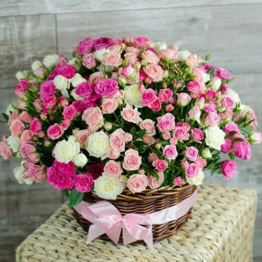 Bush roses