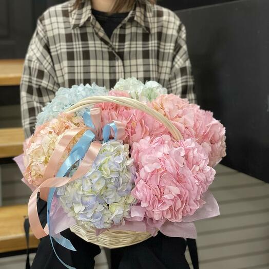 Hydrangea Basket