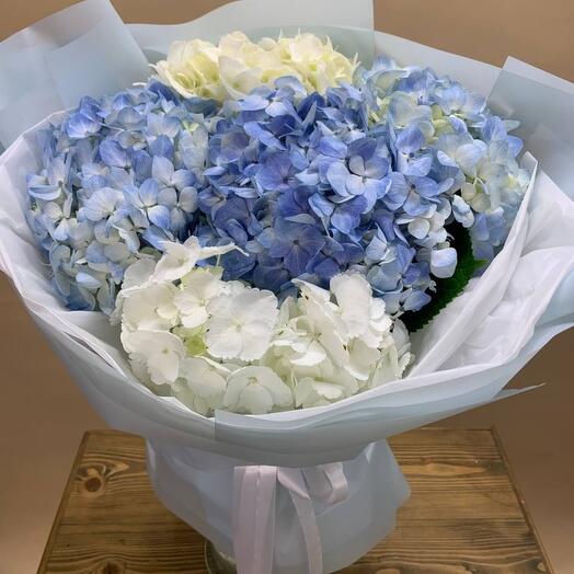 5 hydrangeas