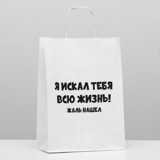 Подарочный пакет Жаль нашел (24 х 10 х 33 см)