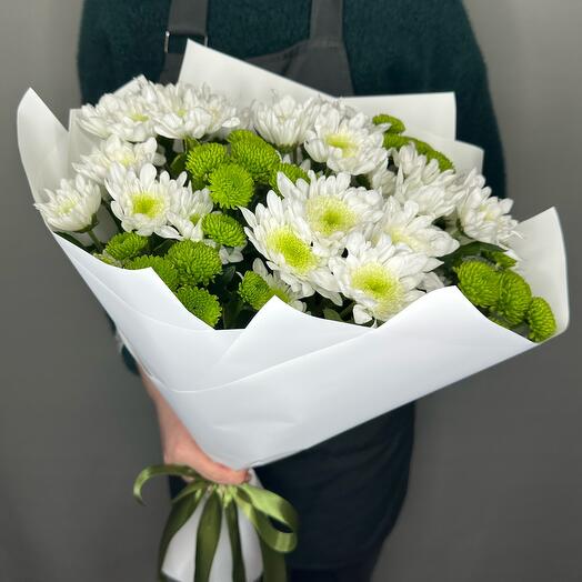 Bouquet of snow-white chrysanthemum and green pompoms