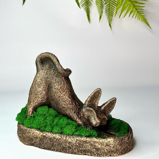 Composition Cat - stabilized plants, gift, symbol