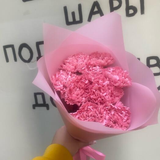 Розовое облако диантусов