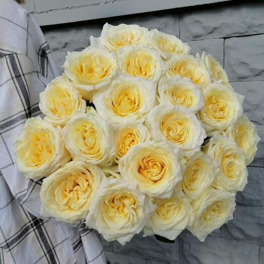 Cream Rose