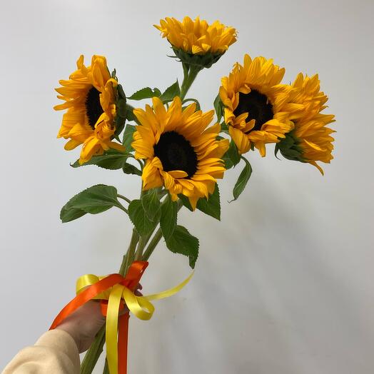 Букет подсолнухов (5 штук)