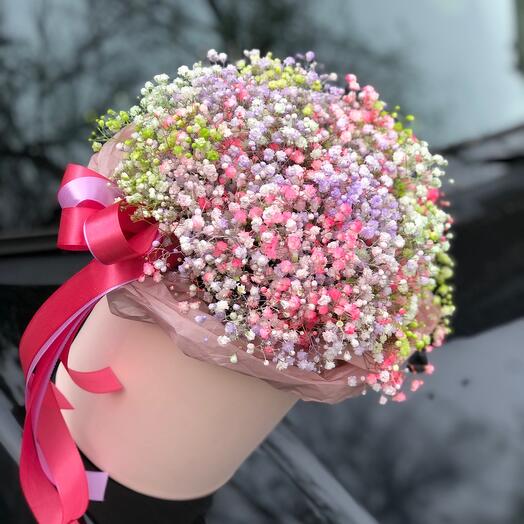 Rainbow gypsophila