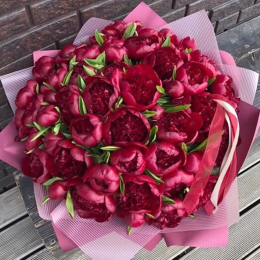Пионы Red Charm