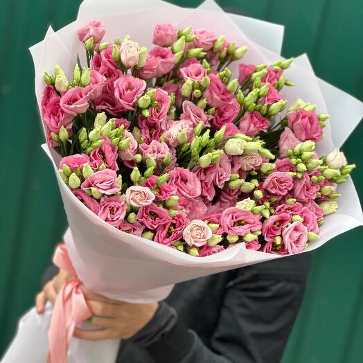 Gentle eustoma