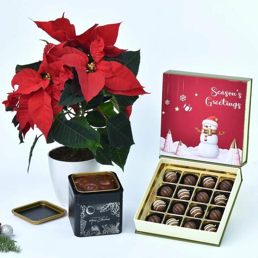 Delicious Treats and Poinsettia Combo