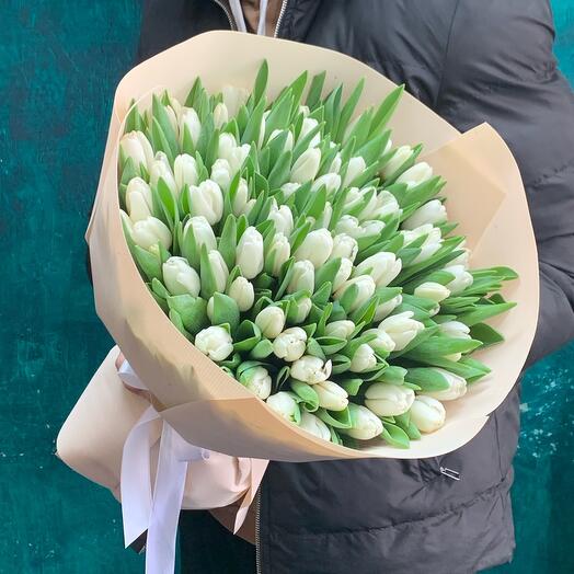 101 white tulips