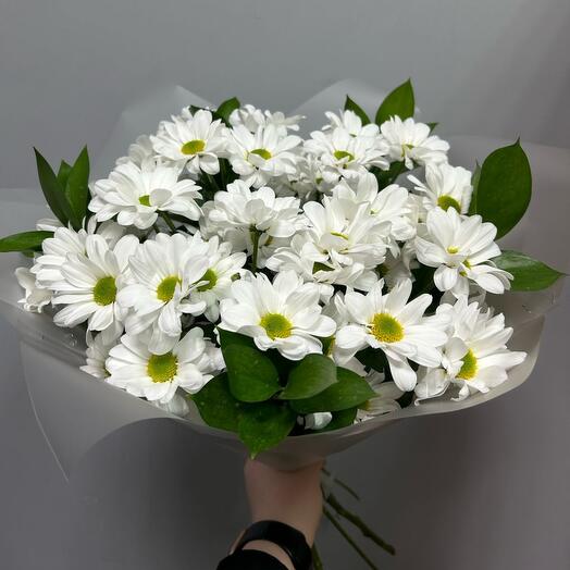 Букет из 5 ромашковых хризантем с рускусом