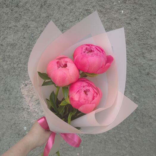 Коралловые пионы