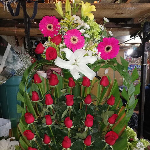Jaula de amor