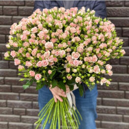 41 кустовая роза 🌹