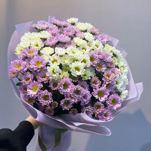 Сантини микс