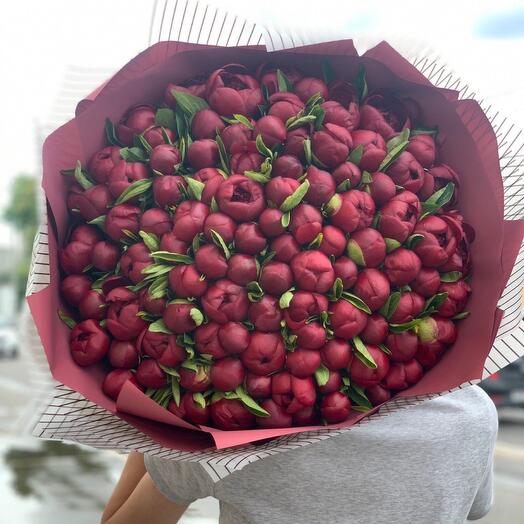 Пионы
